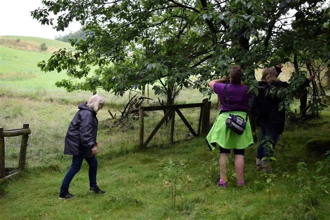 G21.4 bramslev bakker restaurant lunch fri 21 jul (15)